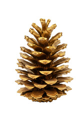 Isolated Gold Pinecone Ornament on Transparent Background Christmas Decor