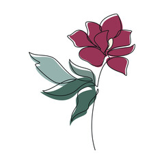 Hand drawn flower vector. Linear icon. Line continuous drawing. Floral design, botanical print, card, wall art poster, logo, sign, doodle, symbol. Abstract cartoon plant illustration