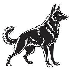 Obraz premium black-silhouette-of-a-standing-german-shepherd-dog. black and white dog vector illustration retriever, Detailed Sitting Dog Illustration – Black and White Pet Silhouette