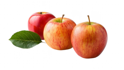 Three fresh red and yellow apples with a green leaf isolated on transparent background