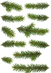 Obraz premium Illustration Green Fir Tree Branches Needles Winter Christmas Decoration