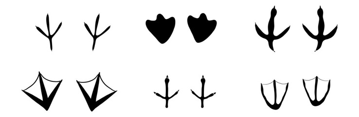 Bird foot mark print silhouette set. Bird trail goose duck foot. Raven owl parrot turkey feet, hen or chicken stump path.