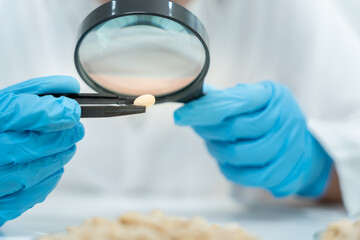Scientist use magnifying glass to check physical occur from chemical on fruit and whole grains ...