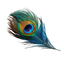 Fototapeta premium Vibrant peacock feather, detailed close-up