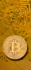 Eine Münze Bitcoin Kryptowährung liegt auf einem digitalen Netzwerk - FOTOMONTAGE