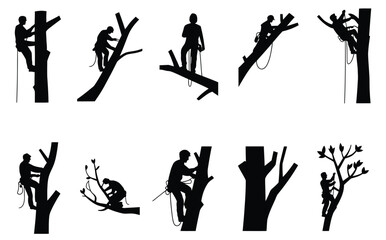 silhouettes of arborists climbing trees with ropes and safety gear, isolated on white background