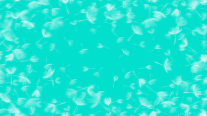 風に舞うバラモンジンの種、ナチュラルなふわふわパターン