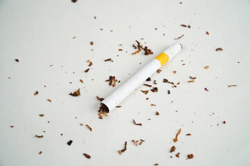 cigarette butt on white