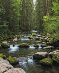 Eco-travel destination with forest stream with moss rocks forest stream in lush green forest, forest stream under sunlight highlighting forest stream peaceful nature
