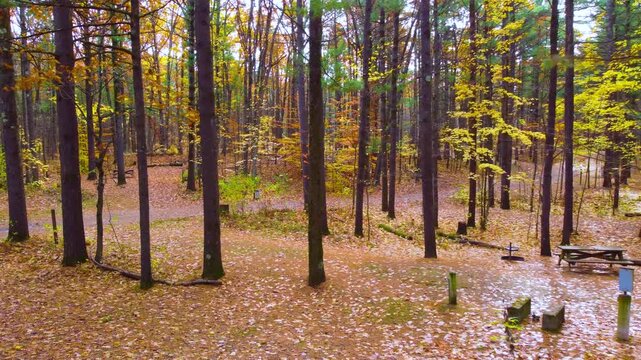 Empty Park Benches Near Trail in Forest Area, Drone Shot