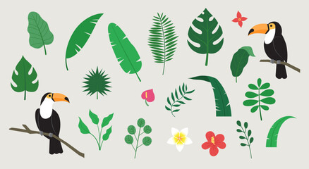 A set of tropical plants with a summer and jungle background. Palm trees, various leaves, and the tropical bird toucan © 소연 이