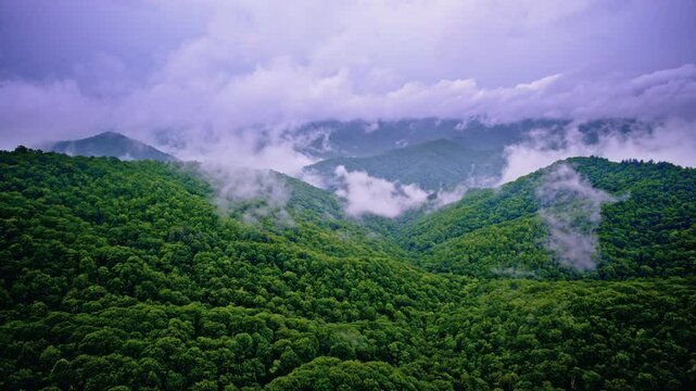 Majestic mist flows through the Great Smoky Mountains, captured by drone.