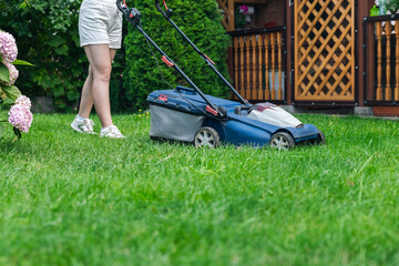 This image captures someone mowing their lawn with a push lawn mower. The person is holding onto...