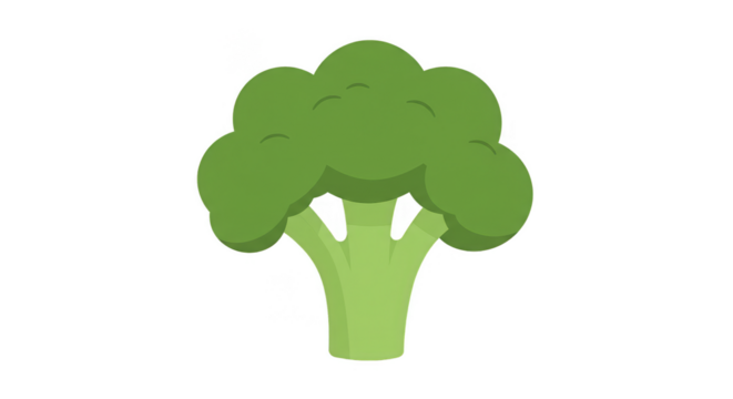 Illustration of Fresh Green Broccoli Healthy Diet Food Isolated