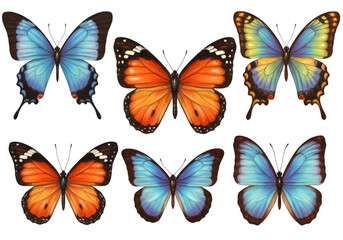 Illustration of Butterflies Orange and Blue with Vintage Art Design PNG