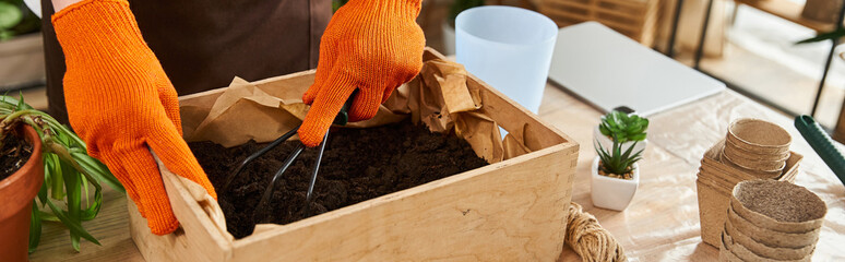 Handsome young man carefully transplanting plants in a bright studio filled with green life