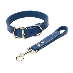 Isolated Blue Leather Collar and Leash Dog Pet Accessories