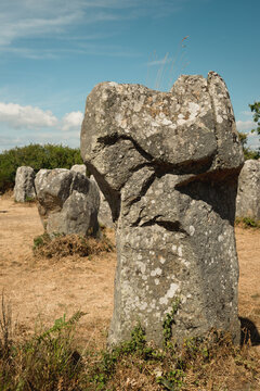 Alignements de Kerzerho sur la commune d 'Erdeven dans le Morbihan