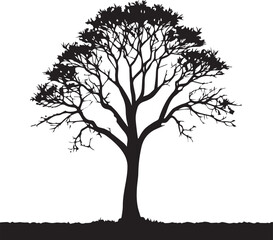 Obraz premium Tree silhouette Vector | Minimalist & Trendy Tree Silhouette Design | Unique & Stylish Tree Artwork for Vector design 