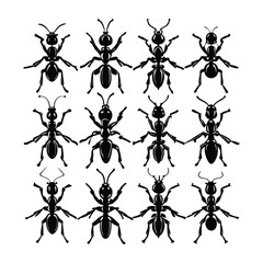 Black Ant Vector Silhouette Set – Insect Clipart Bundle with Unique Ant Designs and Poses for Science, Nature, and Educational Illustration Projects