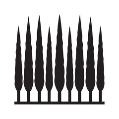 Cypress Tree Row With Slender Tall Silhouette