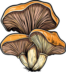 Illustrative mushrooms: golden caps and intricate gills on a black background