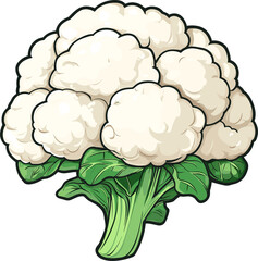 Cartoon Cauliflower with detailed floret and leaves on a black background