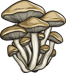 Cluster of edible mushrooms with brown caps on a black background.