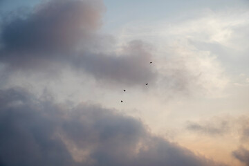 Clouds and birds in flight – Celestial harmony on a pastel background