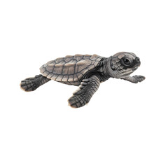Obraz premium Baby Sea Turtle: A Tiny Ocean Wanderer