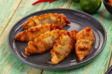 Asian fried stuffed dumplings gyoza