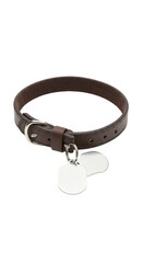 Obraz premium Isolated Brown Leather Pet Collar with Tags for Animal Style