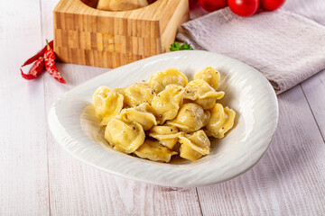 Tasty Russian dumplings with meat