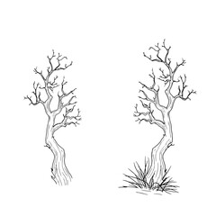 Old gnarled tree from dark forest thicket, black and white sketch in simple style. Vector illustration. Tree in thick grass, isolated on white background. Halloween, autumn, magic and witchcraft theme