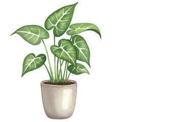 Illustration of Green Leaf Houseplant in Pot Isolated Transparent Background
