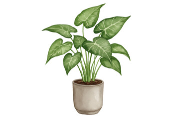 Illustration of Green Leaves Plant in Pot Transparent Background