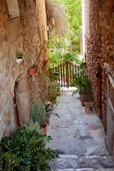 Stone alley with rustic walls, terracotta pots, and dense green plants leading to a wooden gate under soft sunlight; alley, greenery;