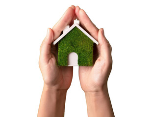 top down view hand holding house mockup, sustainable concept, green background