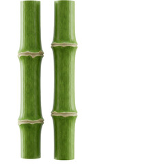 Obraz premium Isolated Transparent Background of Green Bamboo Plant Stalks Still Life