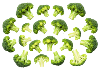 Isolated Png Image Fresh Green Broccoli Healthy Eating and Diet Concept