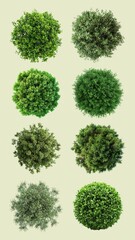 Green bush element set