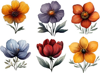 watercolor colorful flowers art