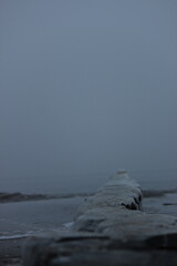 foggy groyne I