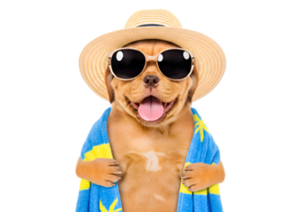 Cute Dog Wearing Hat and Sunglasses PNG for Summer Vacation Theme