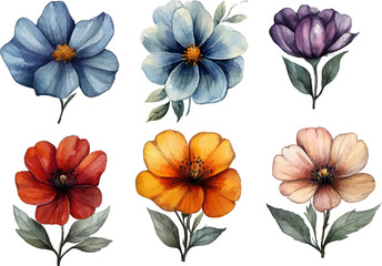 set of colorful flowers