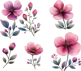 set of pink flowers