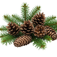 Fototapeta premium Pinecone Fir Branch on Transparent Background Christmas Decoration