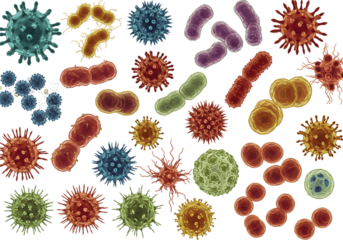 Diverse Microorganism Illustration Pathogens Background with Transparent Element