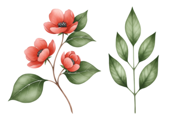 Illustration of Red Floral and Green Leaves with Transparent Background