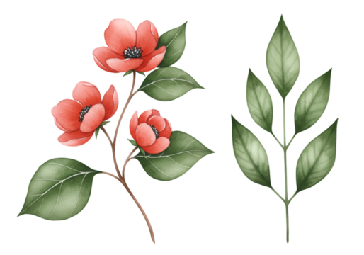 Illustration of Red Floral and Green Leaves with Transparent Background